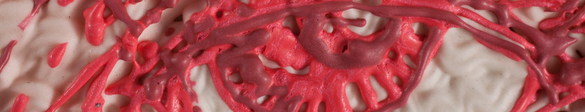 Numismática: Valor, Representación y Ornamento