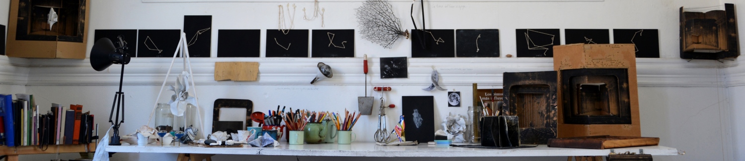 Elogio Al Reino Natural y La Savia Nativa    