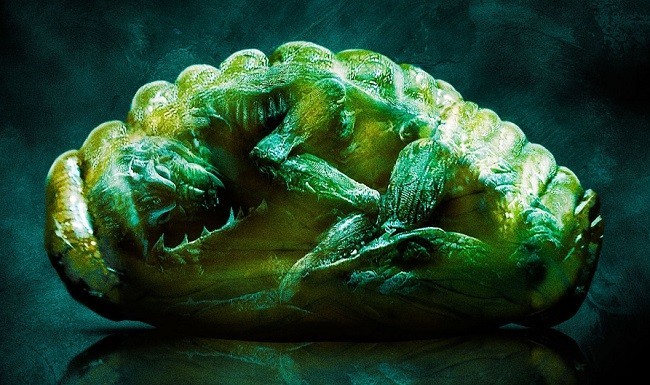 FRENTE A FRENTE: DEL TORO VS RODRÍGUEZ 